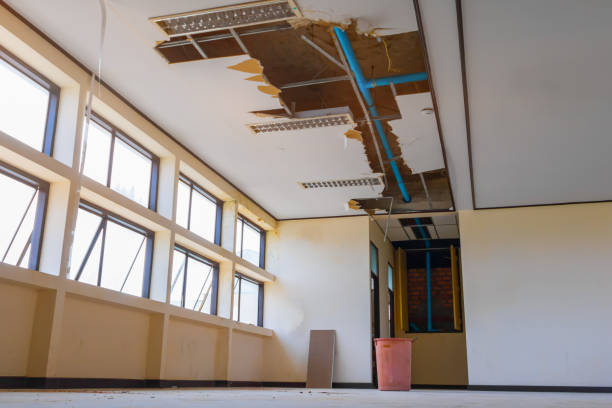Best Water damage restoration near me  in Sneads Ferry, NC