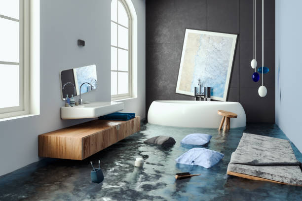 Best Water damage cleanup near me  in Sneads Ferry, NC