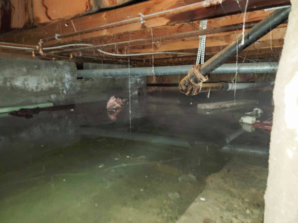Sneads Ferry, NC Water damage restoration Company