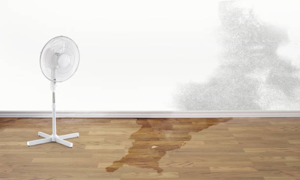 Best Flood restoration services  in Sneads Ferry, NC