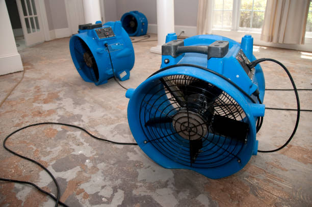 Best 24-hour water damage restoration  in Sneads Ferry, NC