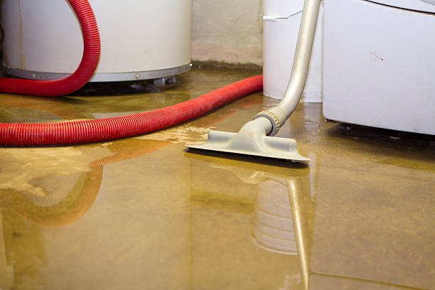 Best Carpet water damage restoration  in Sneads Ferry, NC