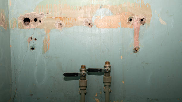 Best Fire Damage Restoration  in Sneads Ferry, NC