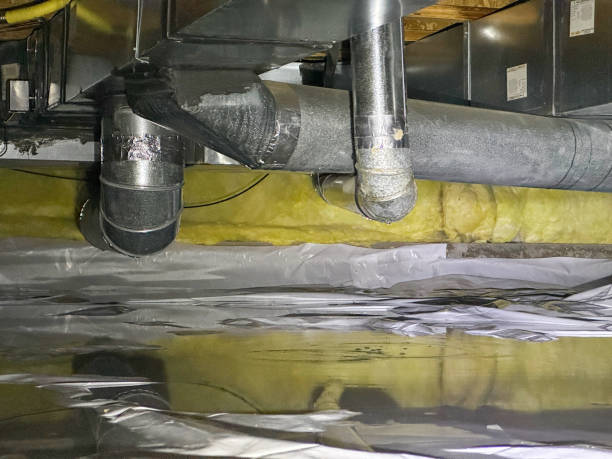 Best Local water damage restoration  in Sneads Ferry, NC