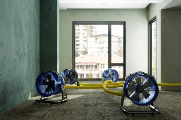 Best Water damage restoration near me  in Sneads Ferry, NC
