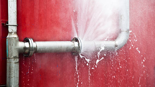 Best Ceiling water damage repair  in Sneads Ferry, NC